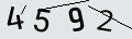 verifycode